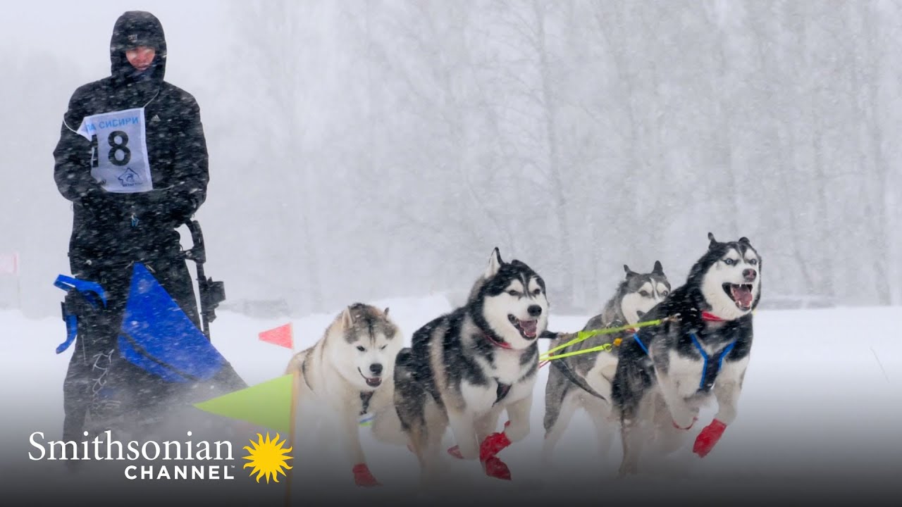 Why The Iditarod Dog Sled Race Can be Dangerous for Alaskan Pilots 🐺Ice Airport Alaska | Smithsonian