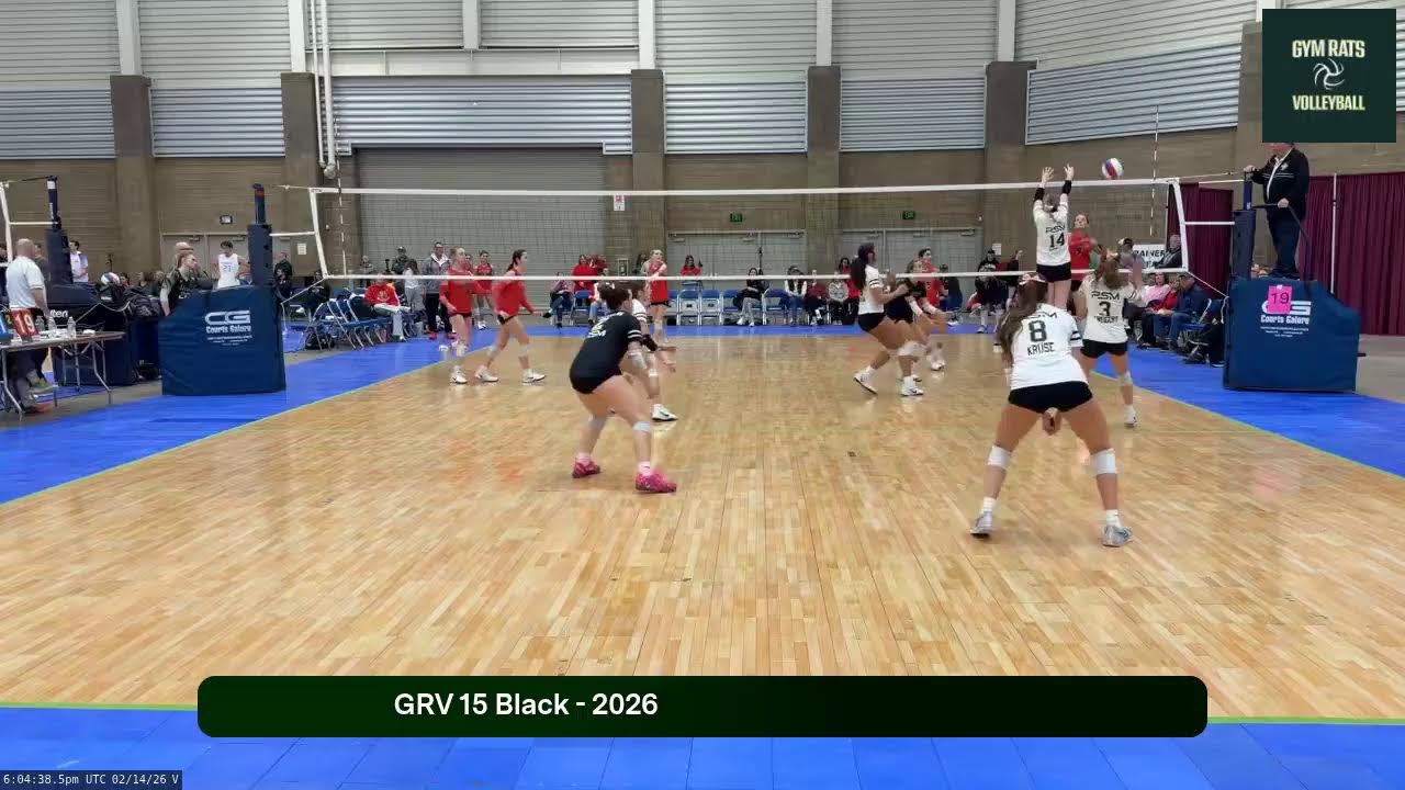 GRV 15 Black (2026.02.14)