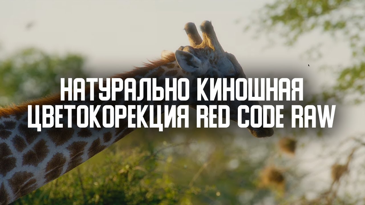 Натурально-киношная цветокоррекция REDCODE RAW с камеры RED