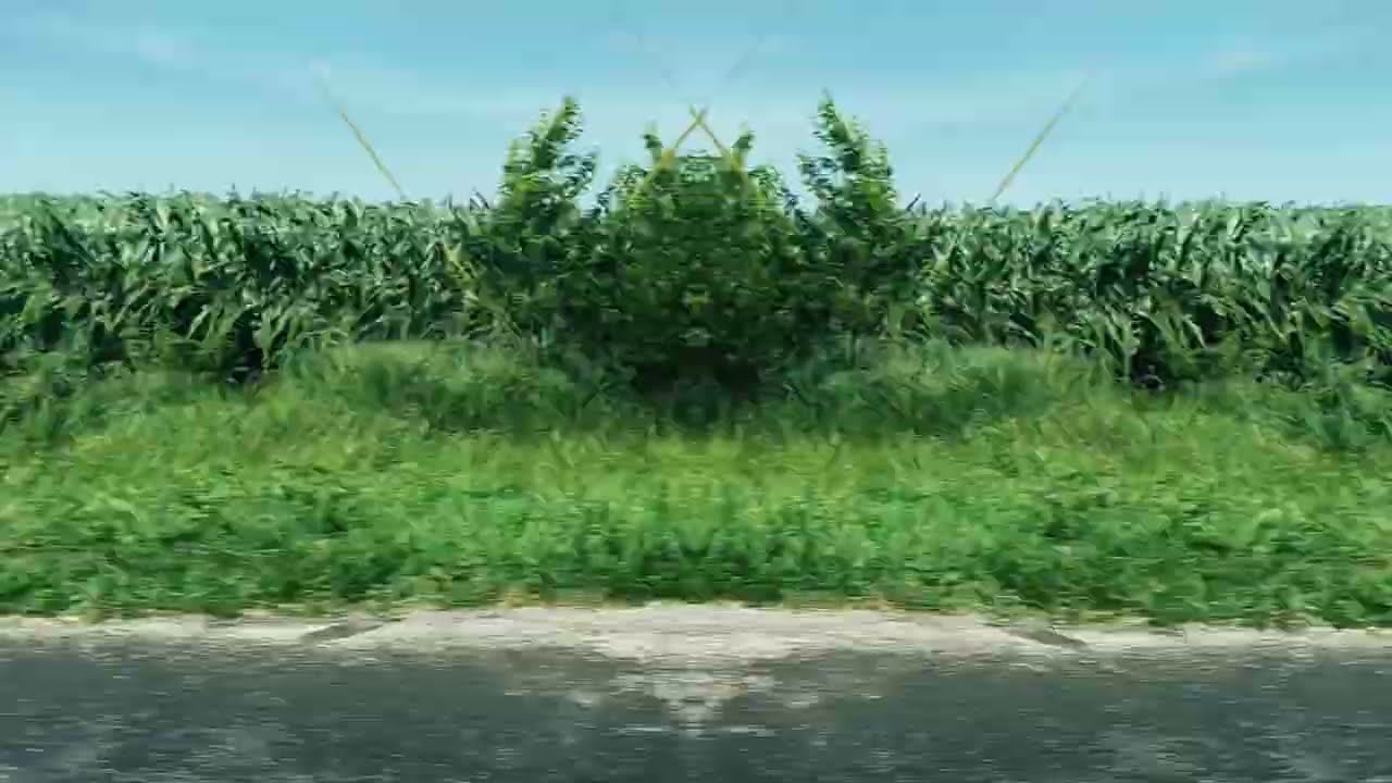 Tyler Ramsey & Carl Broemel - &ldquo;Elizabeth Brown&rdquo; (Official Visualizer)