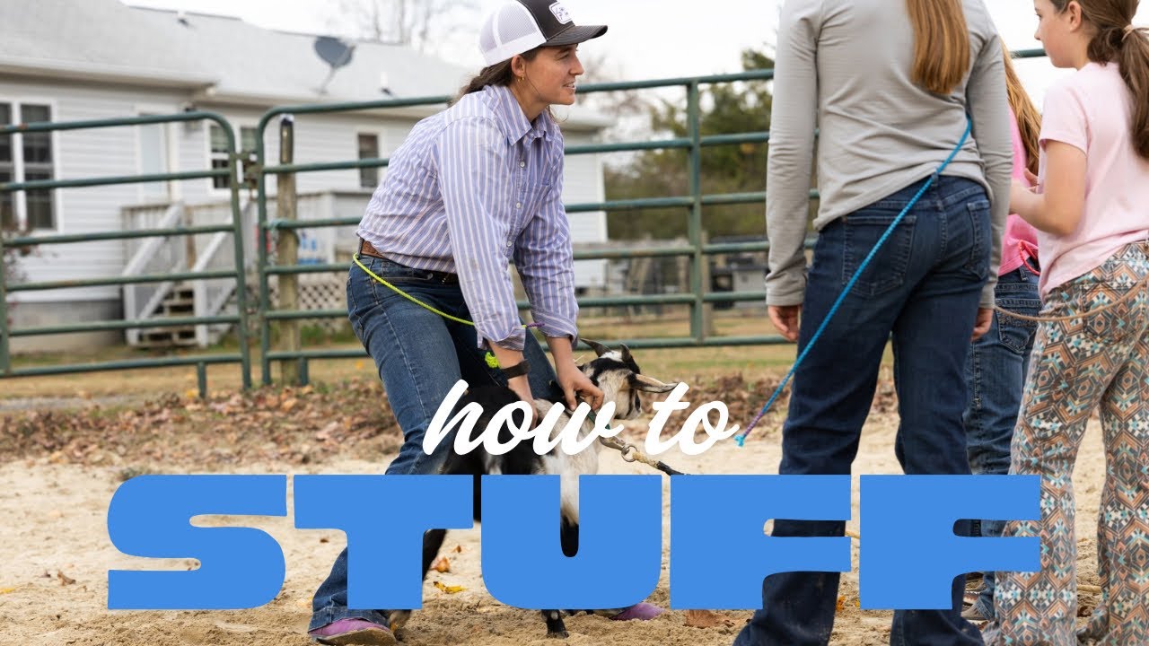 HOW TO STUFF