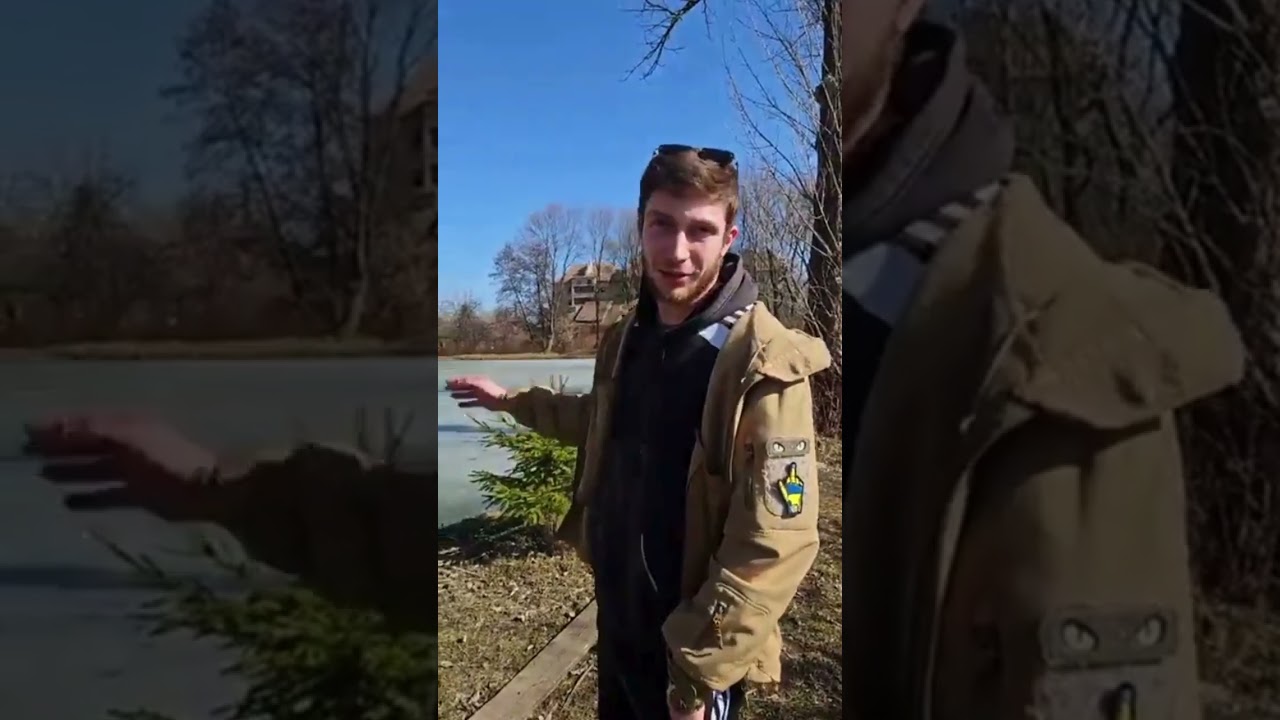 Мор риби на озері в Коломиї