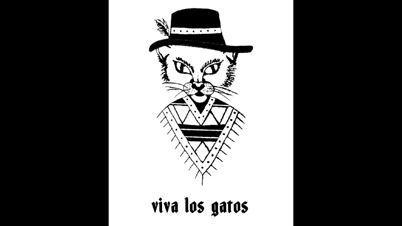 Baja Tales & Travels with Courtney Creed, "Cat Whisperer", of Viva Los Gatos.