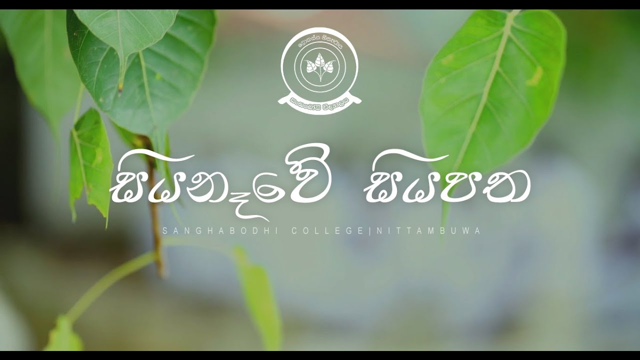 Siyanawe Siyapatha(සියනෑවේ සියපත) Official Music Video | Sanghabodhi College