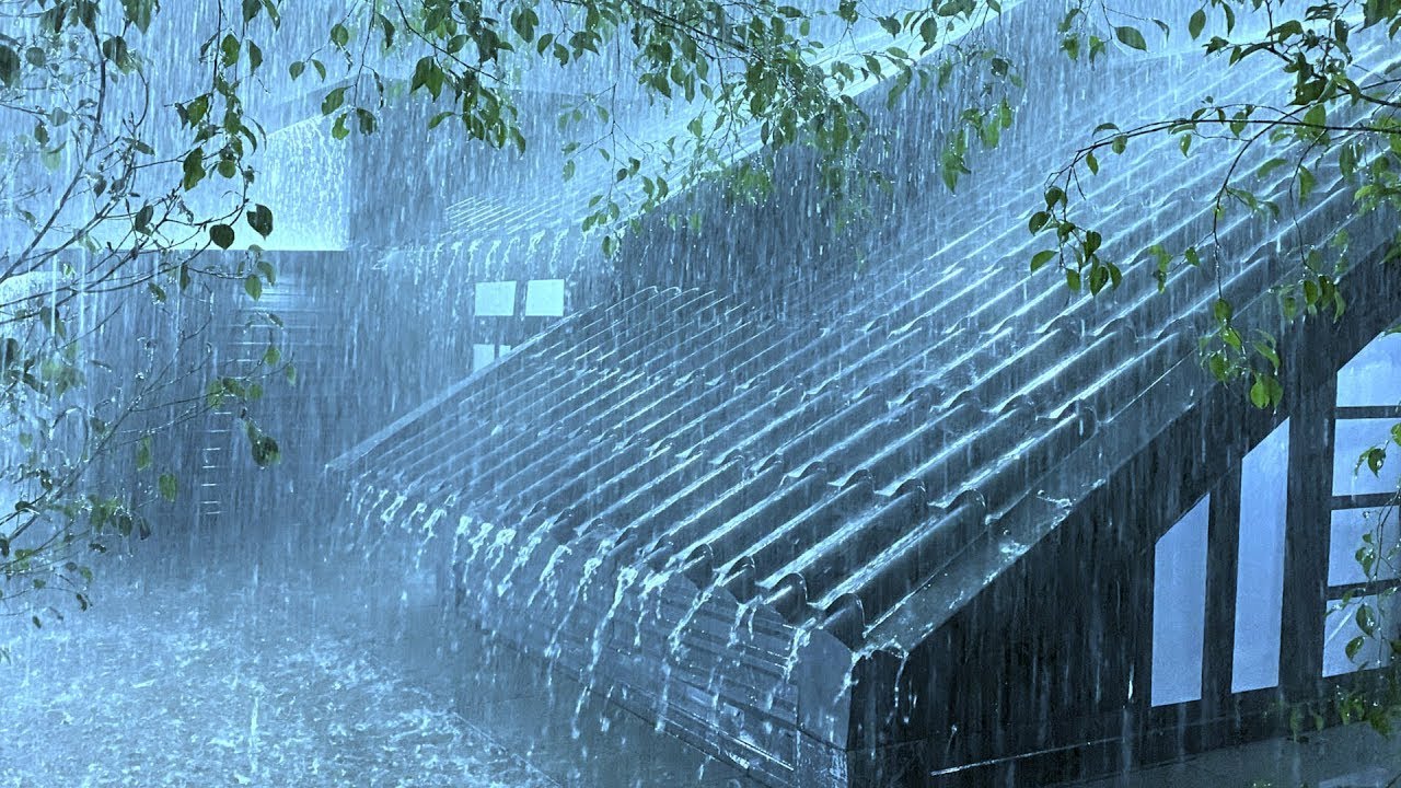 Sleep Peacefully in the Pouring Rain & Thunder Roaring on Rickety Tin Roof in Rainforest at Night
