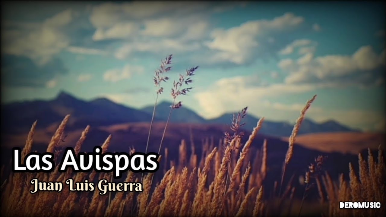 Las Avispas - Juan Luis Guerra (Letra y vers&iacute;culos) ORIGINAL