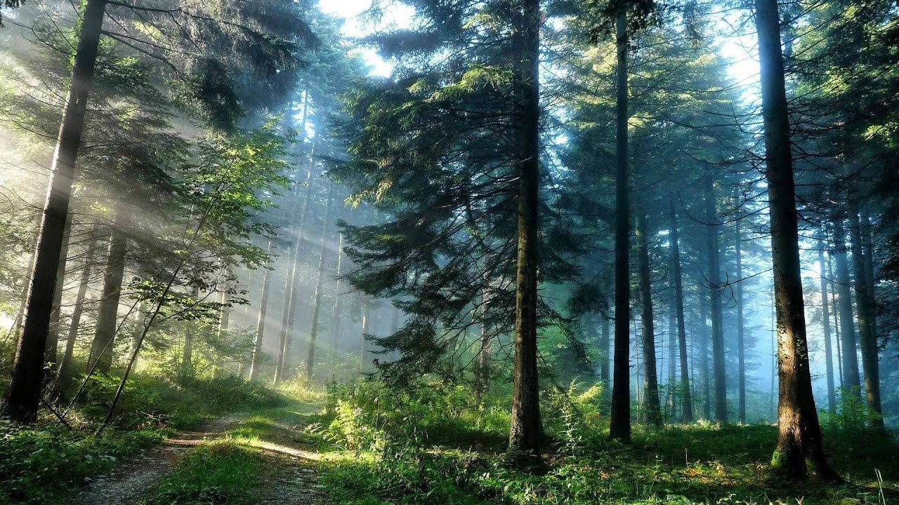 Relaxing Music, Bedtime Music, Reduce High Blood Pressure, Beautiful Piano Melody