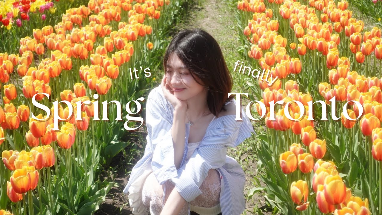 Cuối cùng thì mùa xuân cũng tới rồiii 🌸 Spring in Toronto | DU HỌC CANADA 🇨🇦