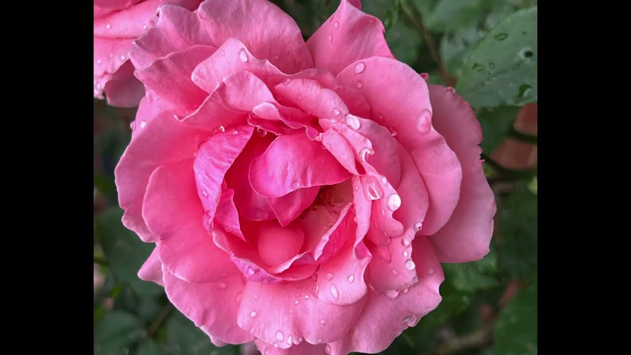 Antidote to Insecurity - Loving the Inner Child Meditation