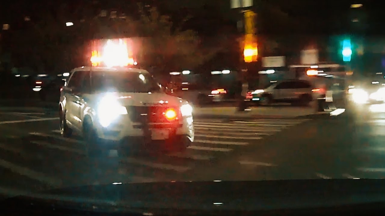 getting chased by a cop in downtown brooklyn (extended version)
