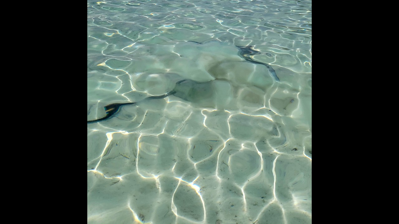 Rays pt 2