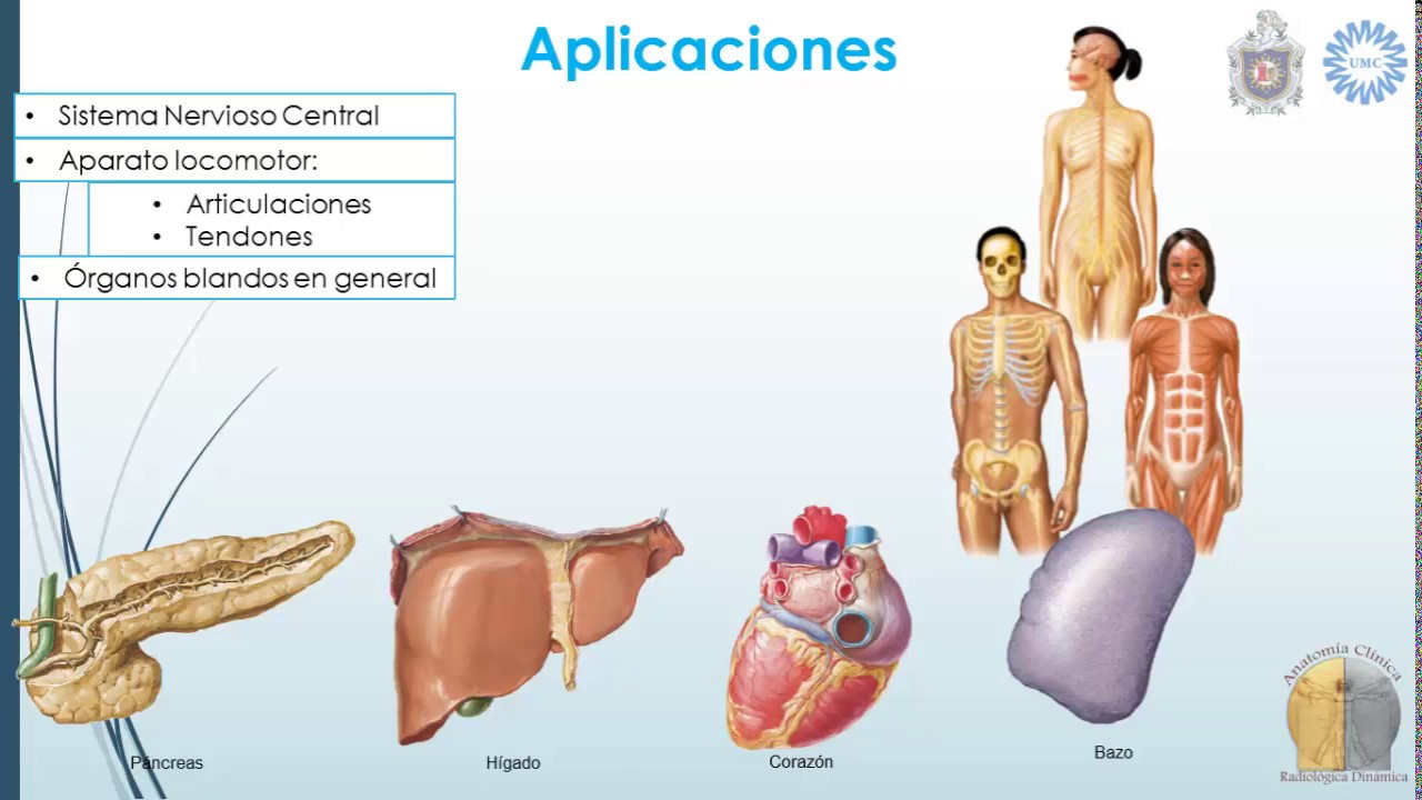 Introducción a la resonancia magnetica