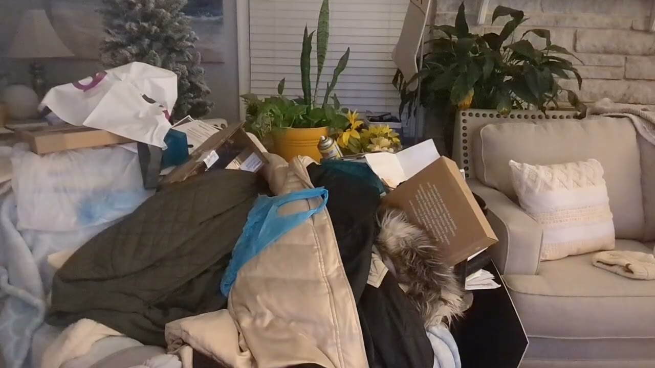 Hooked on Speed Cleaning 🤦🏽‍♀️🐕