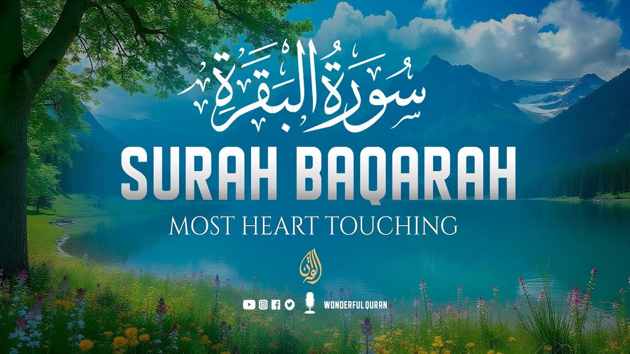 Surah Al-Baqarah سورة البقره | Ultimate Majestic Heart-Relaxing Quran Recitation | #lofiquran