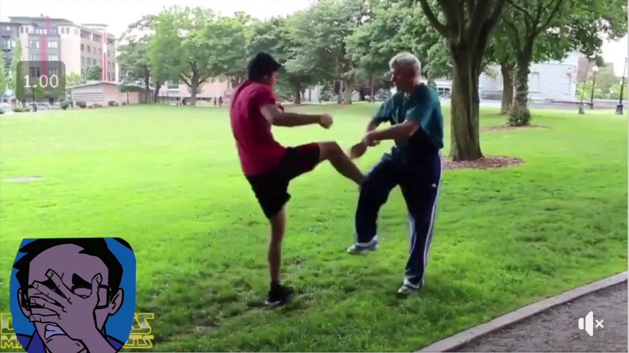 Very Funny Martial Arts Nonsense - Flopping, Twisting Arts, Recovery Positions, Stick Breaking
