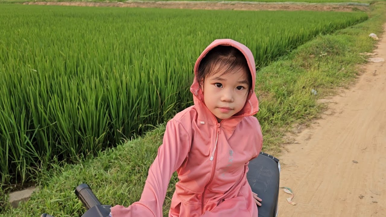 2 mẹ con đi học  về ra  thăm đồng l&uacute;a 🌾