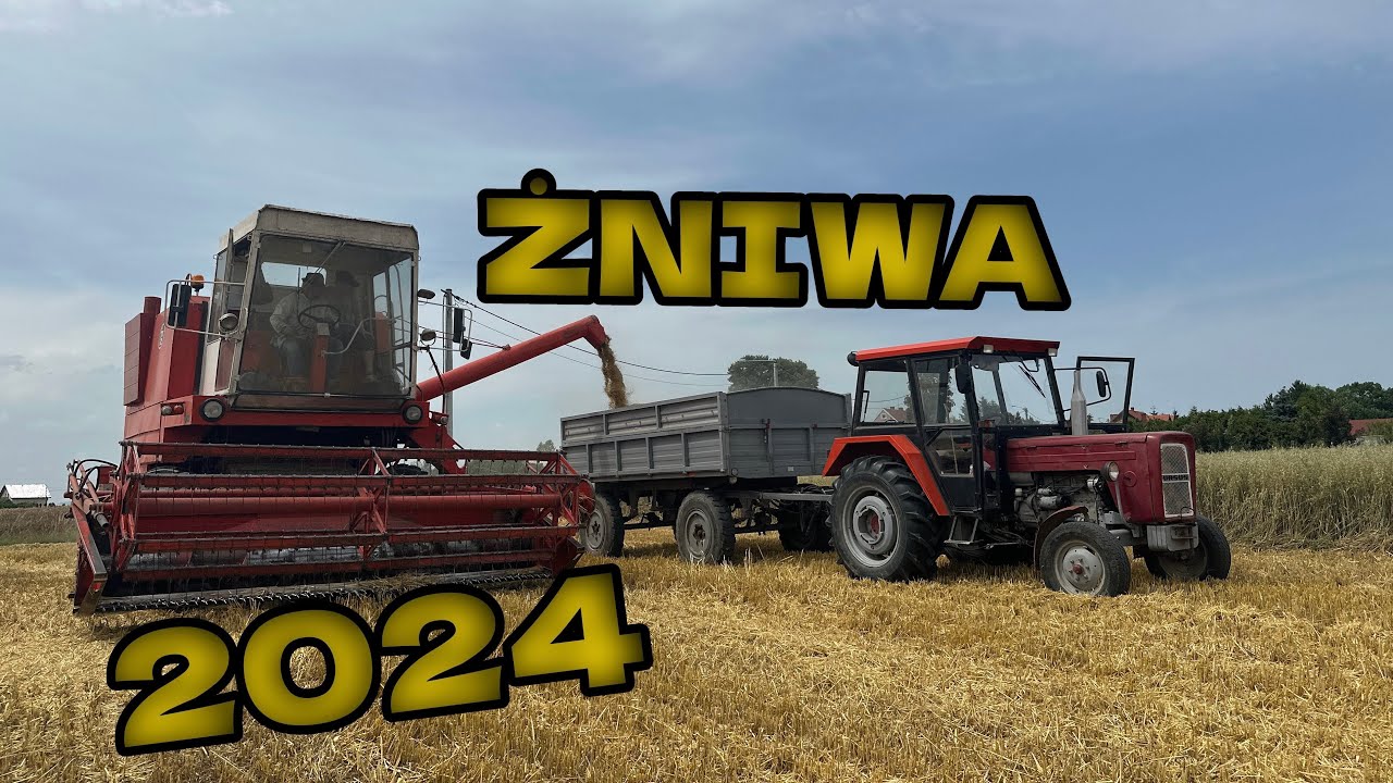 Rozpoczynamy Żniwa 2024!!! Koszenie jęczmienia ozimego🌾 Bizon Z056 w akcji