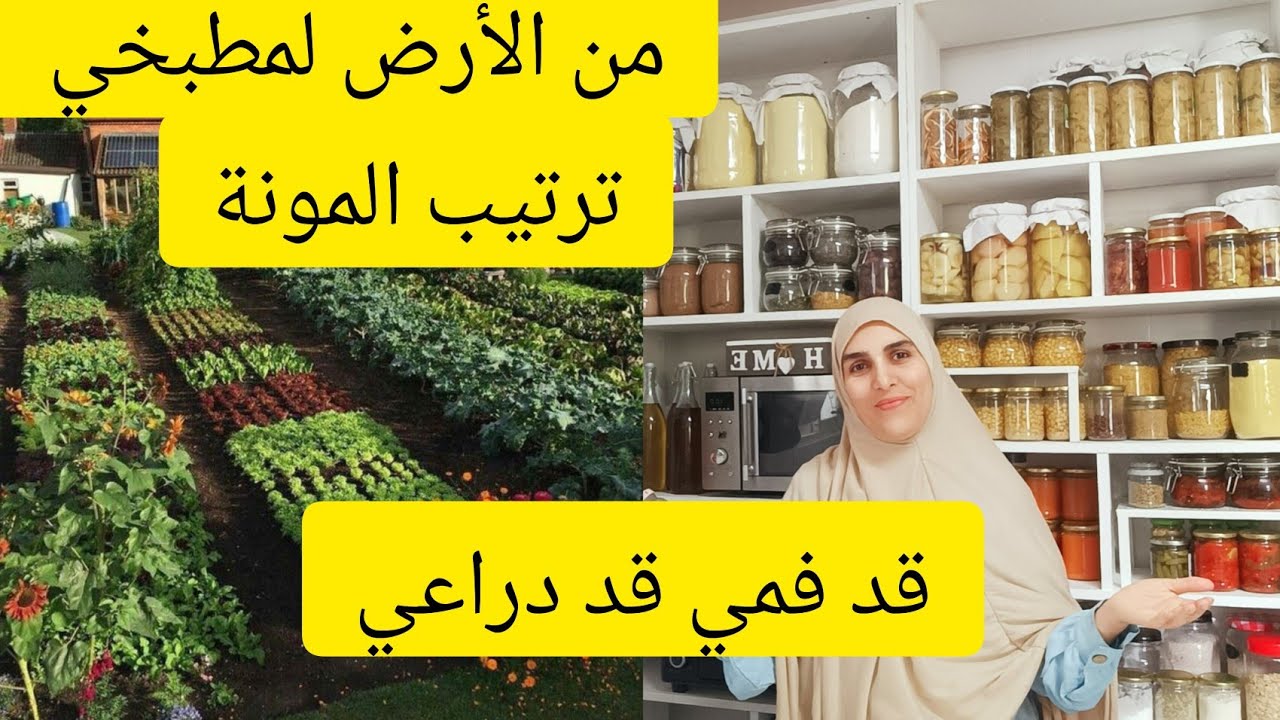 ترتيب ما تبقى من الخزين السنوي. جولة في مكان الغرس مع غرس الخضروات. خنيشات واعرين كيخليو الاكل محفظ