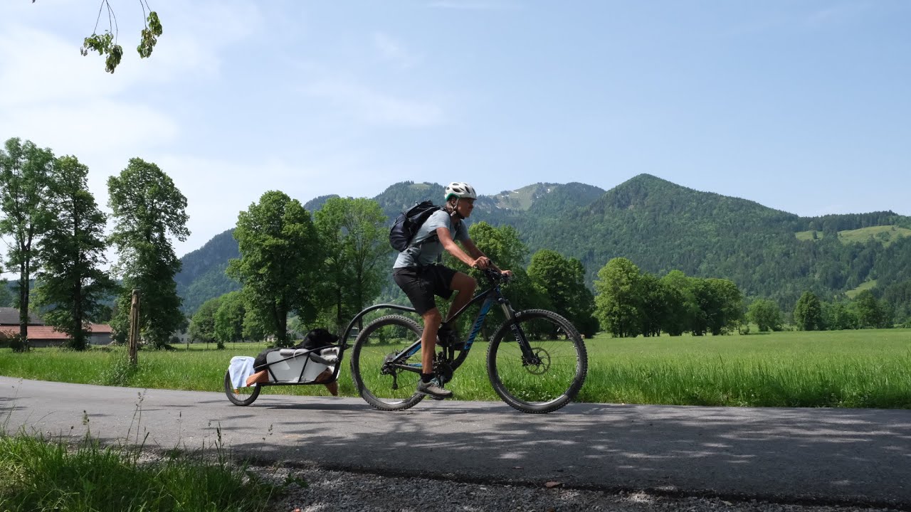 Mit Hund, Rad und Einspuranhänger in den Bergen
