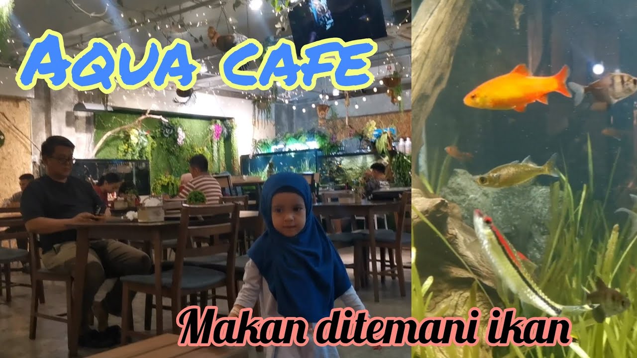 Aqua cafe makan ditemani ikan