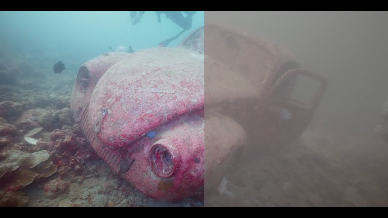 Sony A7SIII underwater video grading test SLOG3 with Keldan lights, red filter - Anilao, Philippines