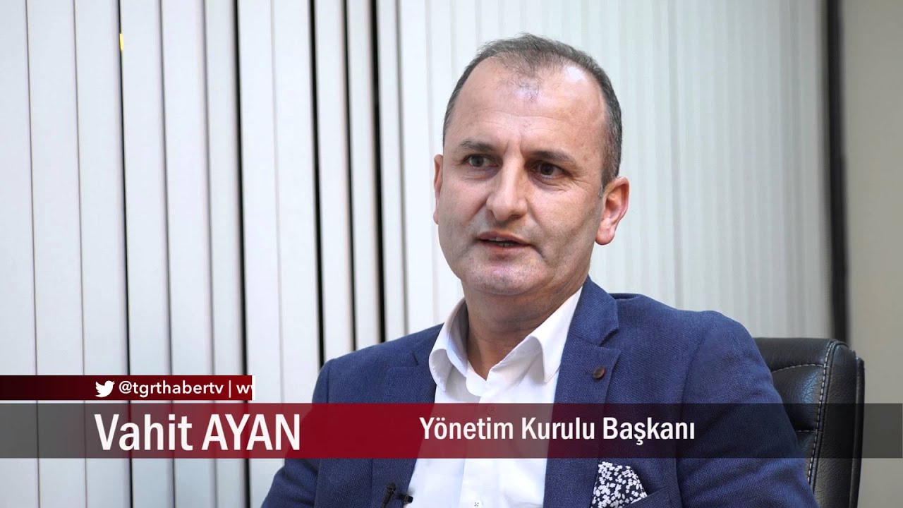 Dünya Kalıp
