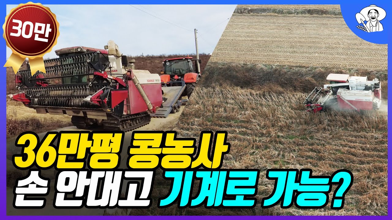 콩농사 수익이 벼농사보다 좋은 이유는? 36만평 기계화로 사람 손 안대고 농사가능?
