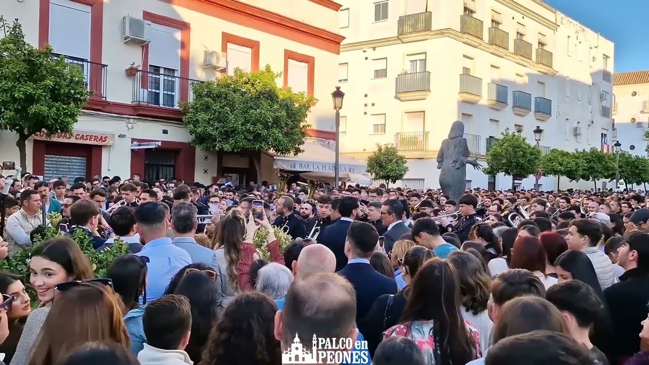 Ofrenda Música AM La Sentencia al Señor de la Sentencia Jerez 2026