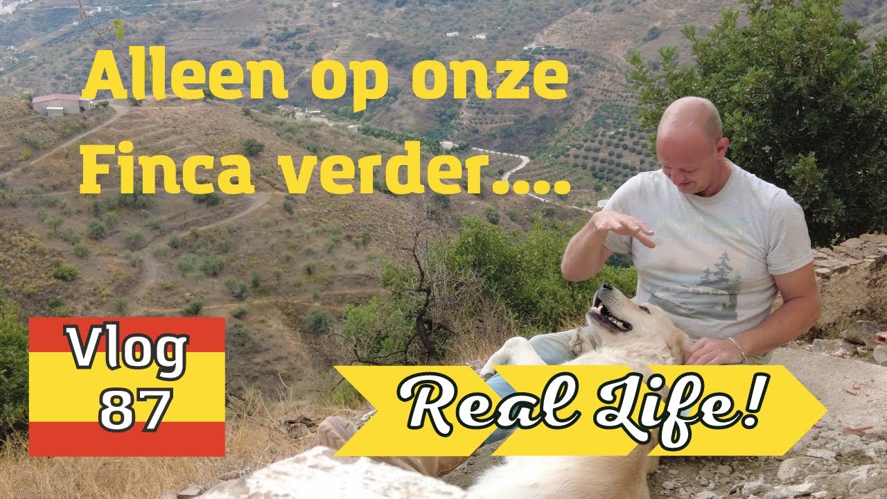 ALLEEN OP DE FINCA | BEGIN VAN DE KEUKEN | BETONBLOKKEN METSELEN | OFF GRID | REAL LIFE VLOG #87