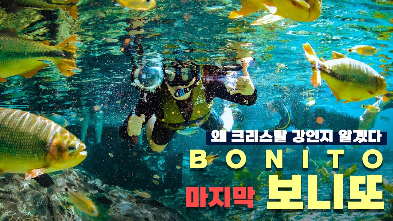 왜 보니또가 크리스탈이고 보석인지 이제 알았다...ㄹㅇ개쩐다...[어쩌다브라질🇧🇷 EP07]