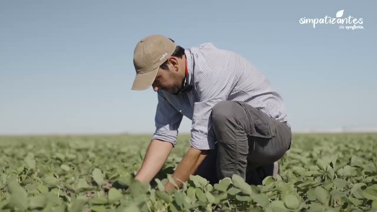 Tu campaña de soja te puede llevar al Mundial