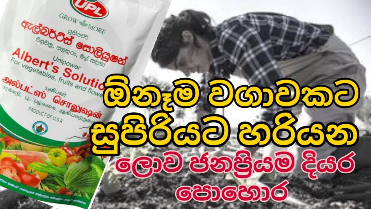 ඕනෑම වගාවකට හරියන සුපිරි දියර පොහොර 