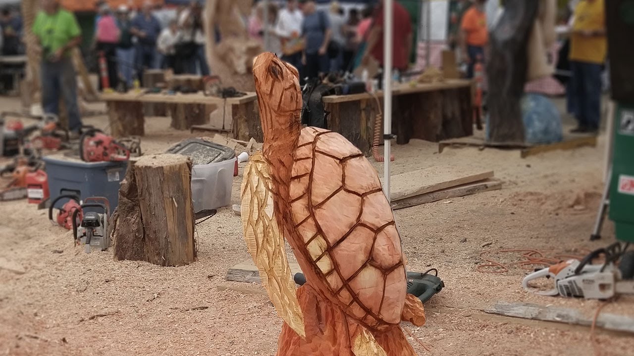 90 Minute Chainsaw Carved Redwood Sea Turtle