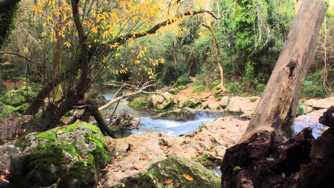 Otoño en el monte Andaluz