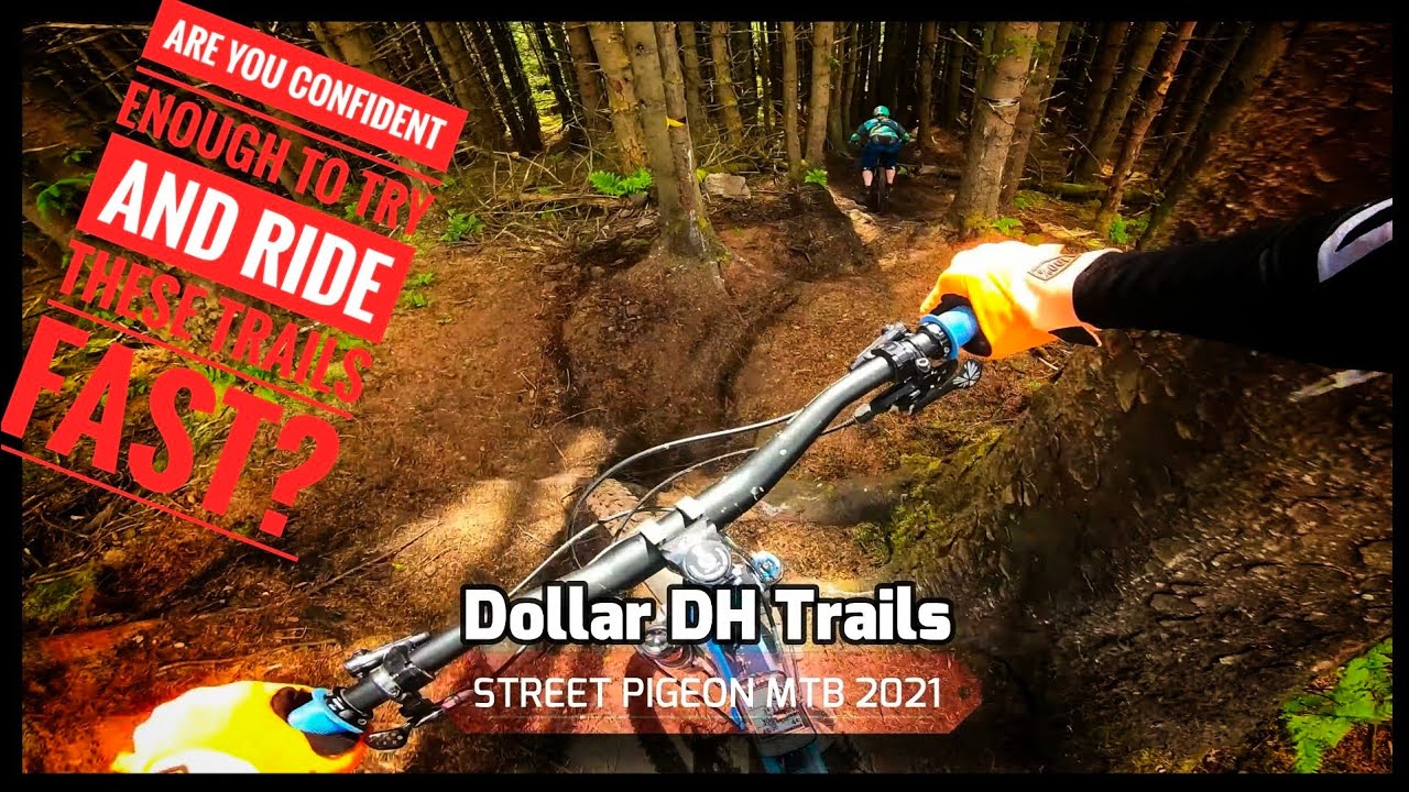 Dollar MTB | These trails scared me!