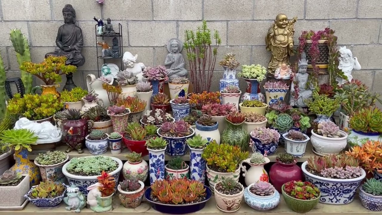 Kay's Garden - First Rain 2022