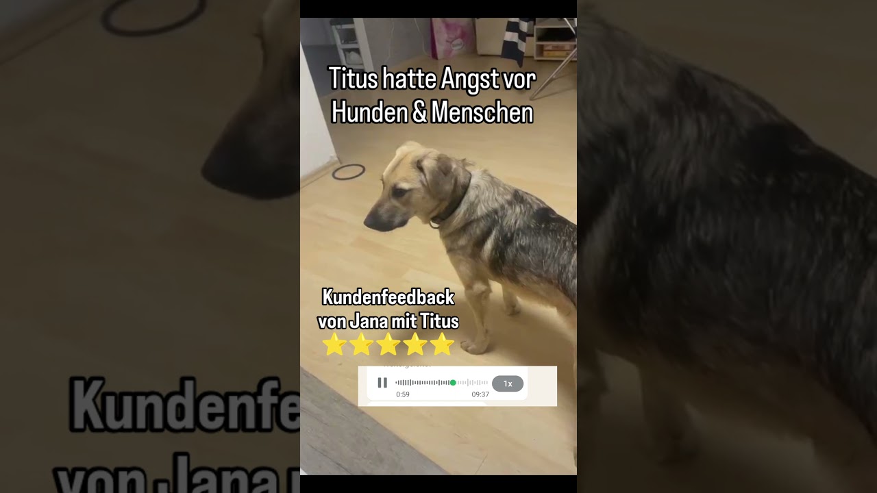 Kundenfeedback Onlinetraining Angsthund Titus.