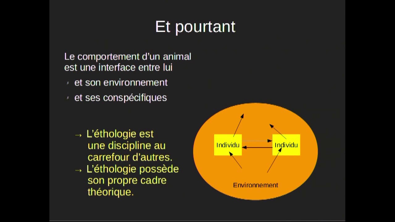 La naissance de l'éthologie : deux écoles, deux visions, deux concepts par Xavier Simon