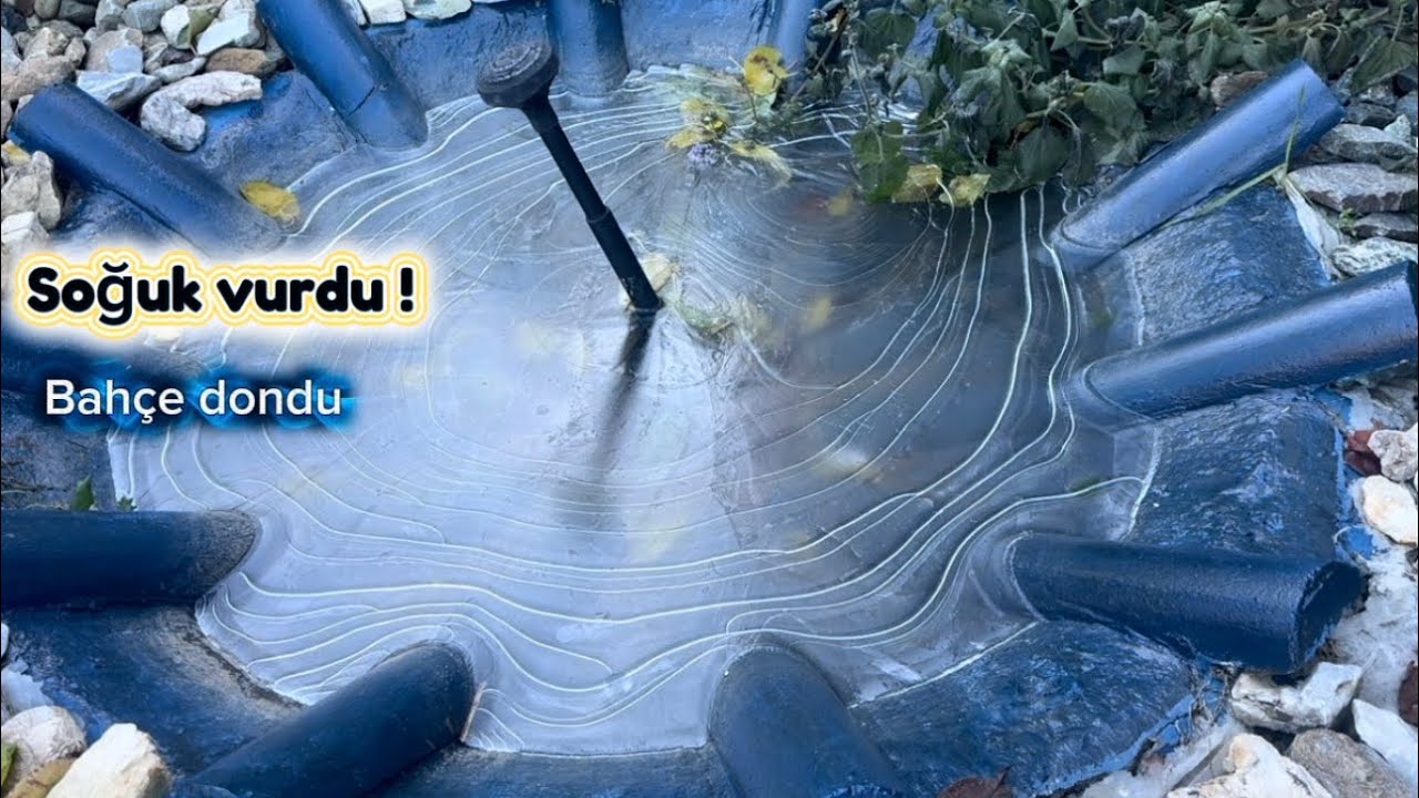 Soğuk vurdu‼️bahçe dondu🥶