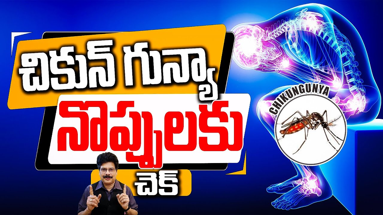 Get Rid of Chikungunya FAST with These Proven Home Remedies | చికున్ గున్యా నొప్పులకు చెక్