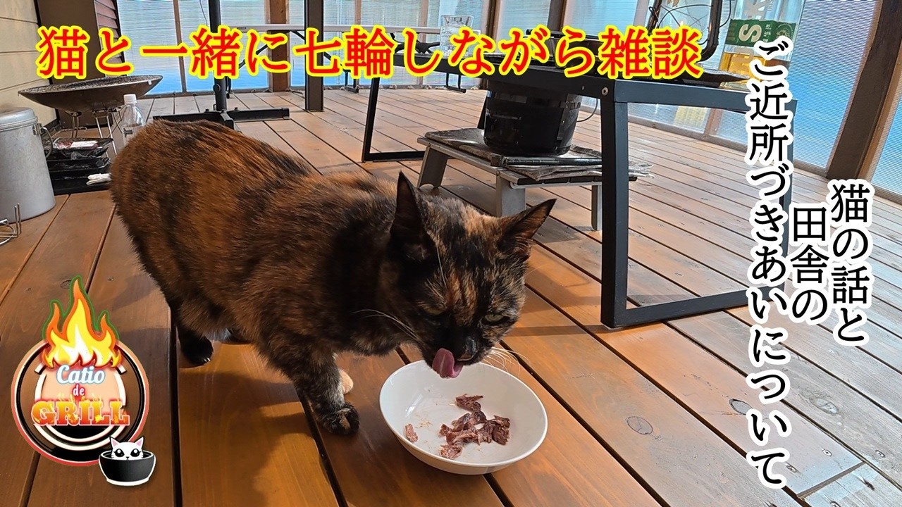 【七輪】猫と田舎のご近所付き合いについての話