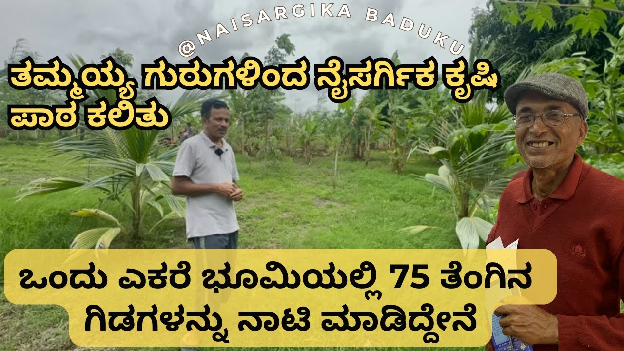 ತಮ್ಮಯ್ಯ ಗುರುಗಳ ನೈಸರ್ಗಿಕ ಕೃಷಿ | ಒಂದು ಎಕರೆ ಭೂಮಿಯಲ್ಲಿ 75 ತೆಂಗಿನ ಗಿಡಗಳು |  #Naturalfarming 🇮🇳💛❤️