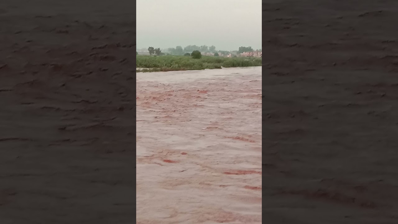 Ghaggar river full flow #ghaggar #flood #ghaggarriver #nature