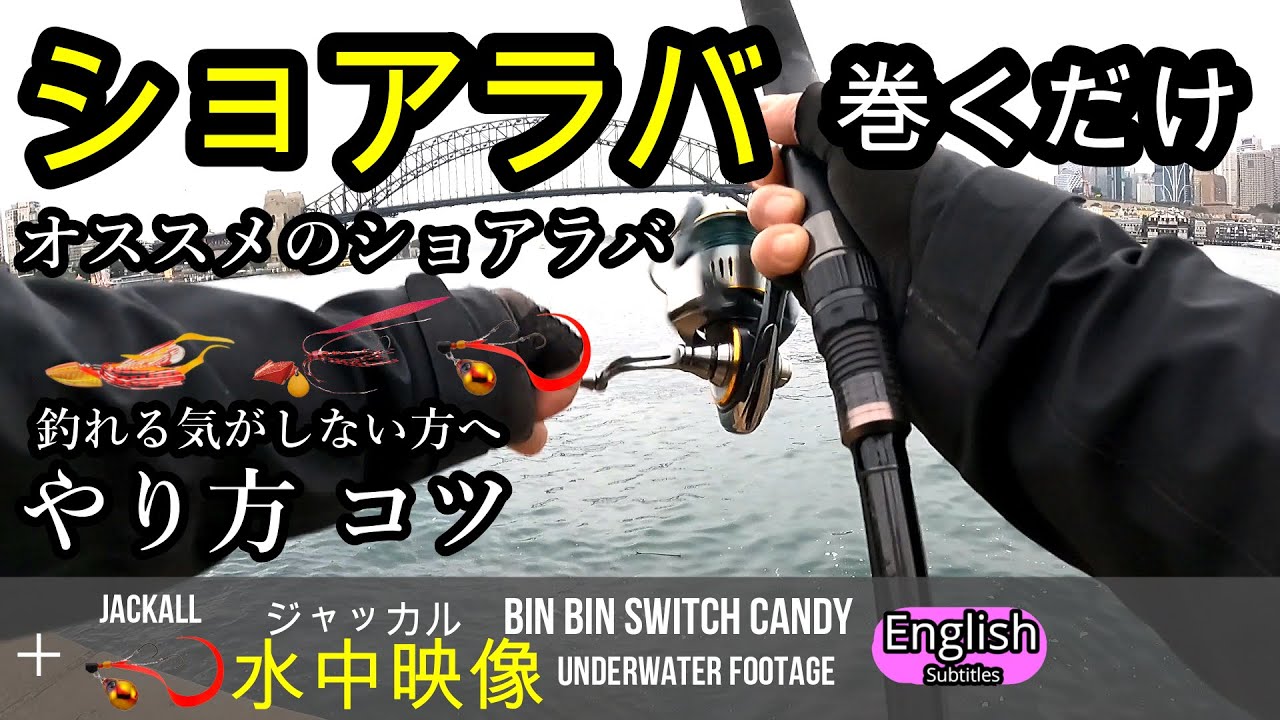 こんなにも釣れる【ショアラバ】お勧めのタイラバ　やり方と水中映像　ジャッカル ビンビンスイッチキャンディ　ジグラバスルー　DAISO