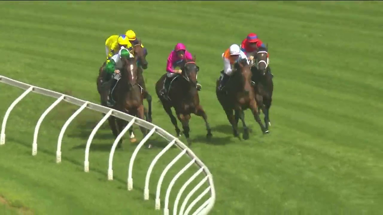 Ranvet stakes 2022 - MONTEFILIA (3YO+ WFA G1) Group 1 Rosehill 19 March