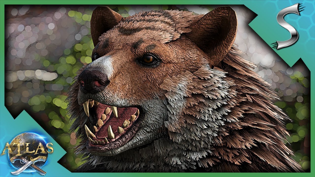 ONE OF THE MOST USEFUL STARTER TAMES IN ATLAS! TAMING A BEAR! - Atlas Adventures [E2]