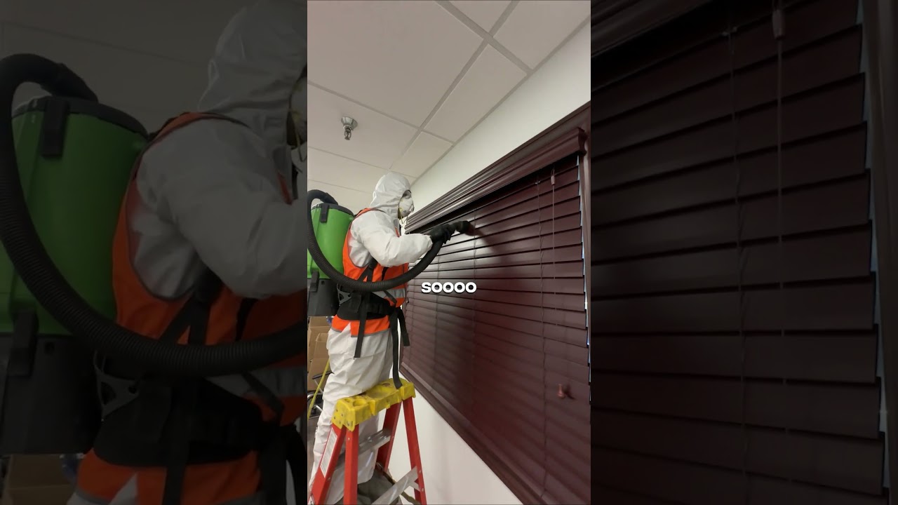 The Truth About Water and Fire Mitigation Process, How Water Damage Impacts Our Restoration Business