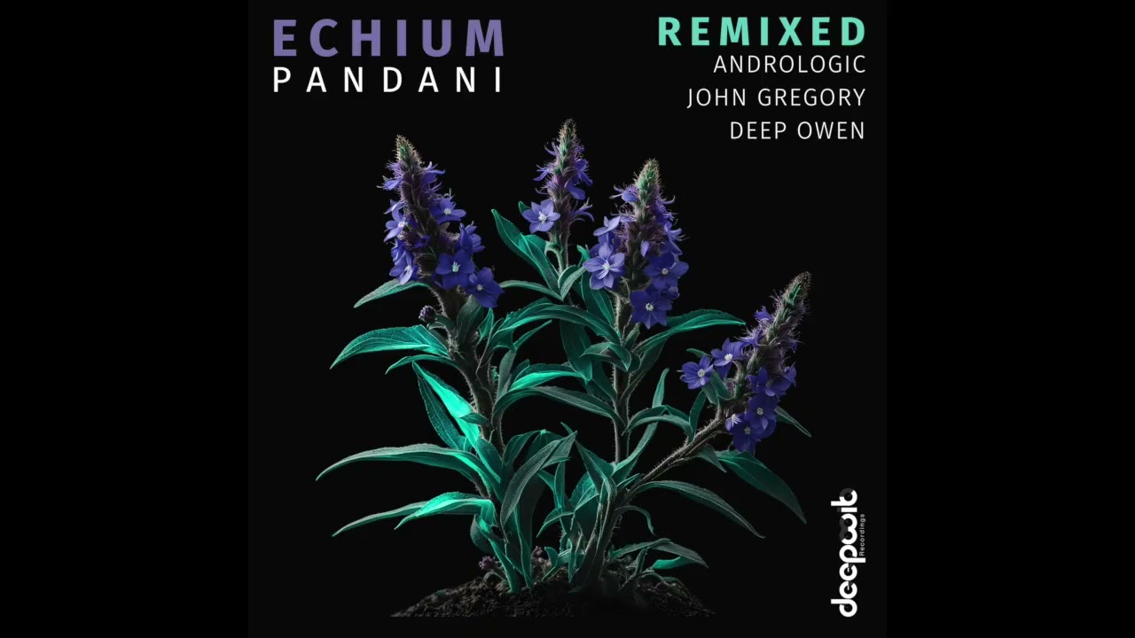 Pandani - Echium Remixed