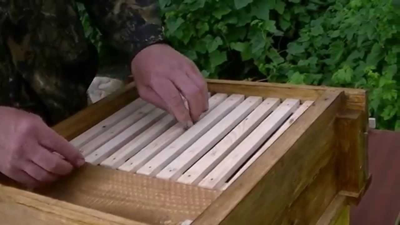 Вариант  глубокого дна для улья