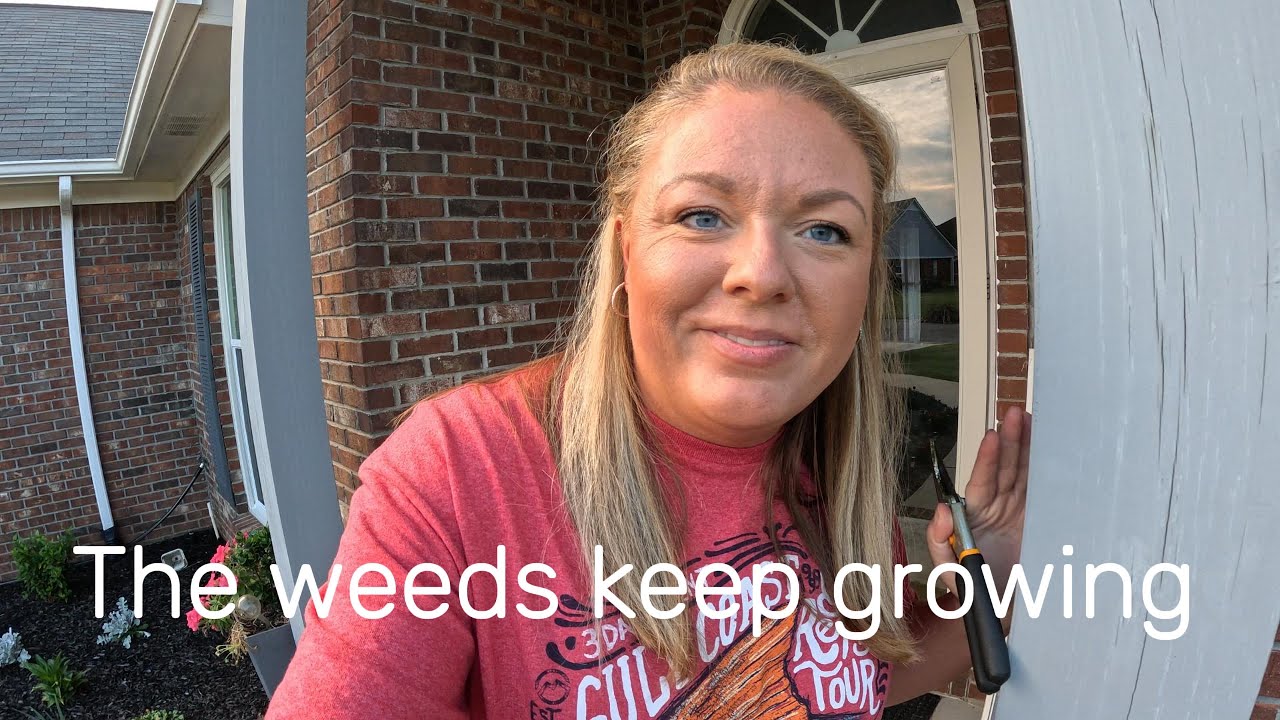 The weeds keep growing